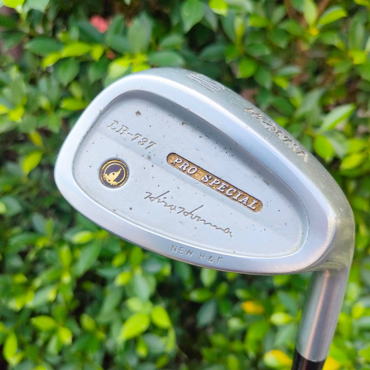 SW HONMA LB-737 PRO SPECIAL องศา 56 ก้าน NEW SUPER FERRITE CARBON FLEX R-1 พรีเมี่ยมญี่ปุ่น