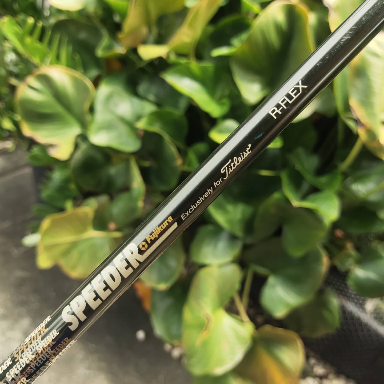 Driver Cleveland Hi-Bore กระดองปาด วาง CG ต่ำและลึก ช่วยให้ตีโดนง่าย ลูกออกเร็ว