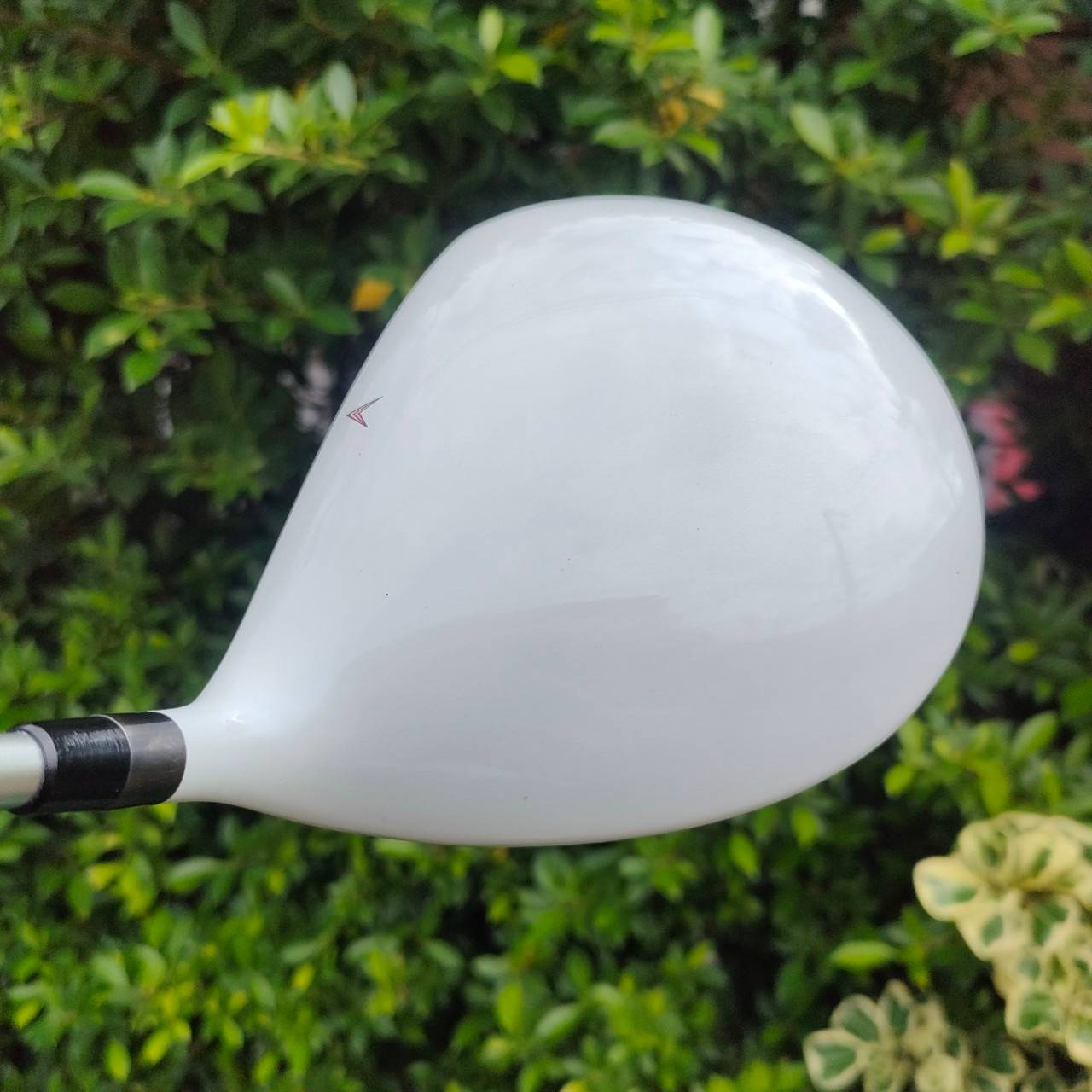 DRIVER KASCO ZEUS IMPACT HI-C.O.R. องศา 10.5 รุ่น หัตถ์พระเจ้า ก้าน ZEUS IMPACT FLEX SR หน้าเด้งเกินกฏมากๆ หัวขนาด 488 CC. รุ่นที่คนญี่ปุ่นชอบใช้มากที่สุด!! ไม้กอล์ฟมือสอง ของแท้ BY NakaraLuxurious