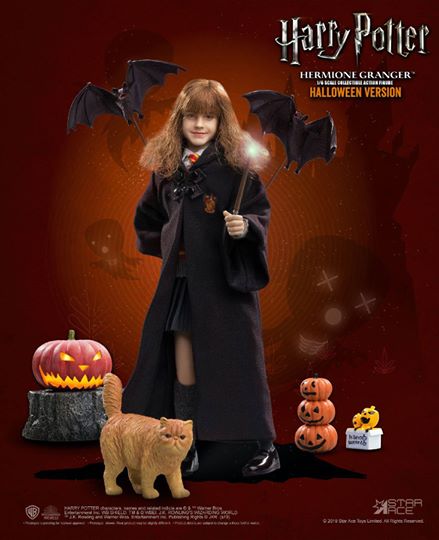 [สั่งจอง]STAR ACE Toys：1/6 HW0001/HW0002/HW0003/HW0004 1/6 Harry Potter (Child)