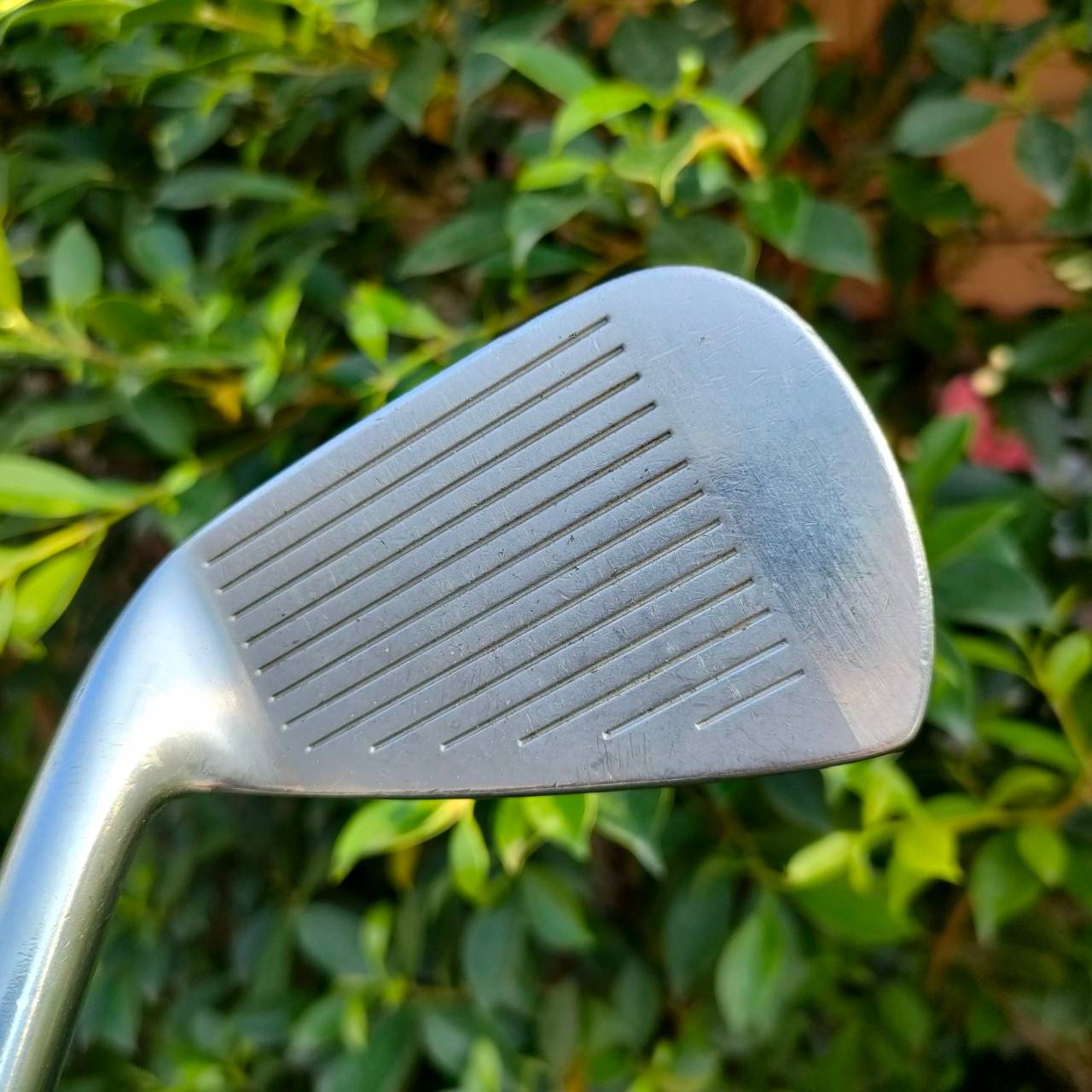 ชุดเหล็ก MIZUNO T- ZOID COMP EZ POWER BLADE มีเหล็ก 5-9 เเละ PW SW ก้าน RIFLE FCM 6.0 เป็นเหล็ก GRAIN FLOW FORGED พรีเมี่ยมญี่ปุ่น ก้านก็ดีมากๆ เป็นไรเฟิล ไม่มีปล้องลดการสั่น ใบคมแต่มี Cavity ตีง่าย มันส์ สำคัญ ราคาแบบคุ้มจัดๆ