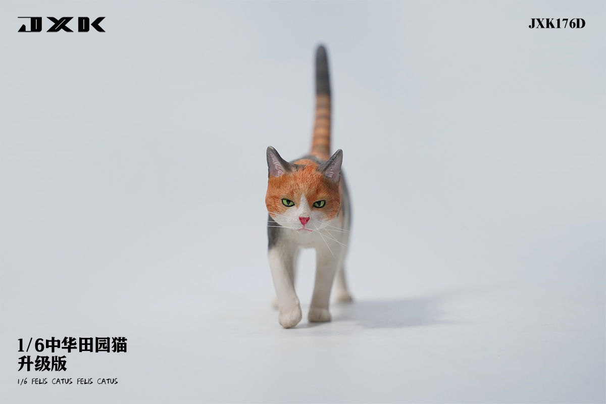 [สั่งจอง] JXK JXK176 1/6 : Felis Catus