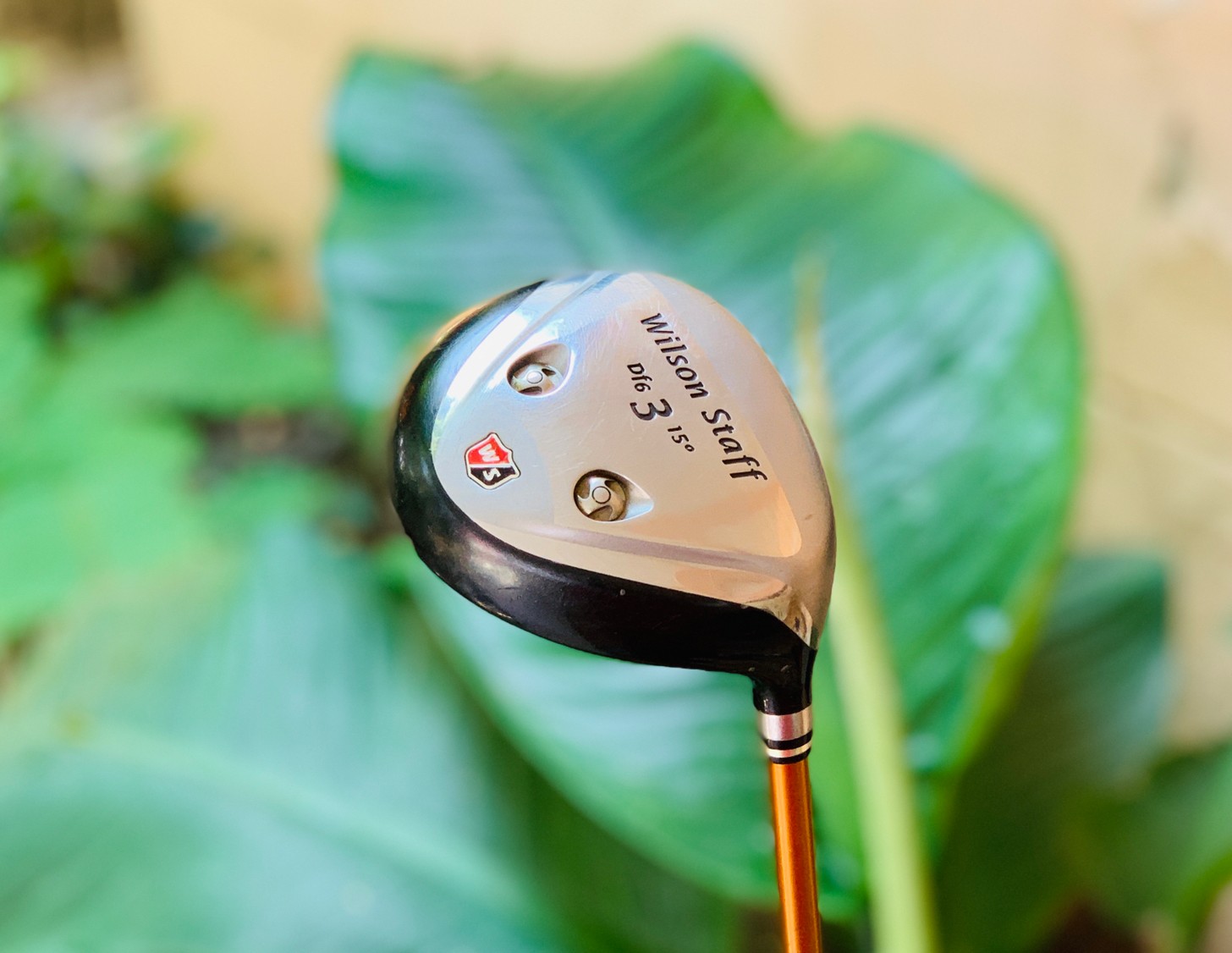 FAIRWAY 3 WILSON STAFF DF6 องศา15