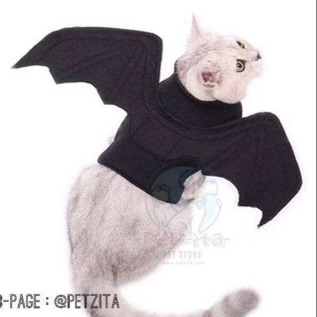 🇹🇭พร้อมส่ง🇹🇭 🦇 The Wing of BAT 🦇 #ปีกค้างคาว คอสตูมสำหรับสัตว์เลี้ยง สำเนา
