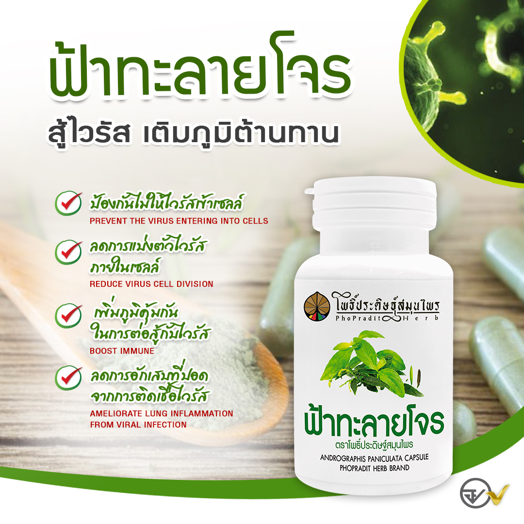 ยาฟ้าทะลายโจร แคปซูล (แก้ไข้ ร้อนใน บรรเทาอาการเจ็บคอ) 100 แคปซูล