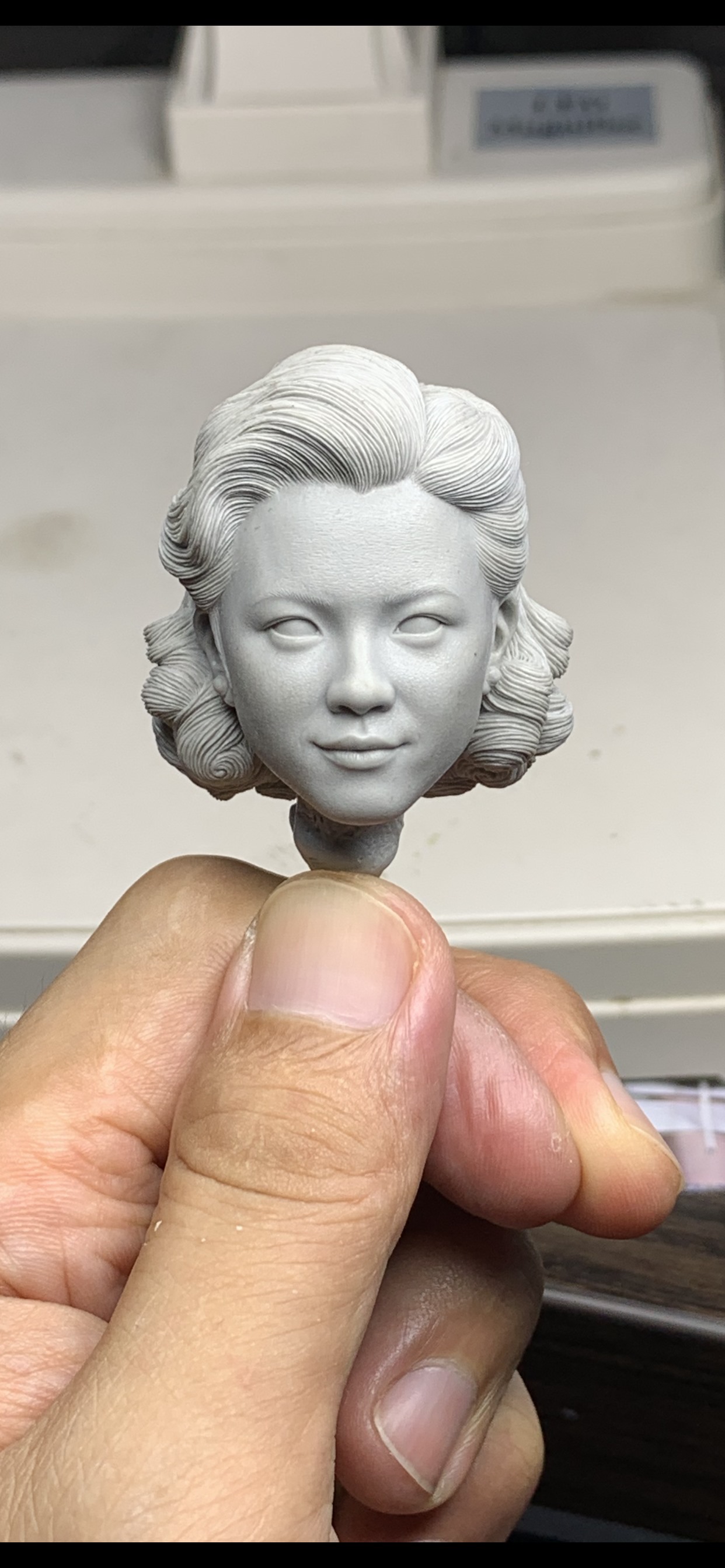 [สั่งจอง]SmartTOYS FT005 1/6 : Lust Caution