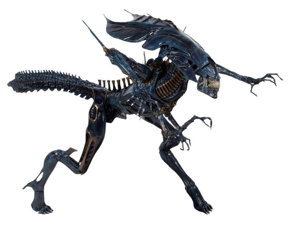 [สั่งจอง] Neca : Alien [Reissue]