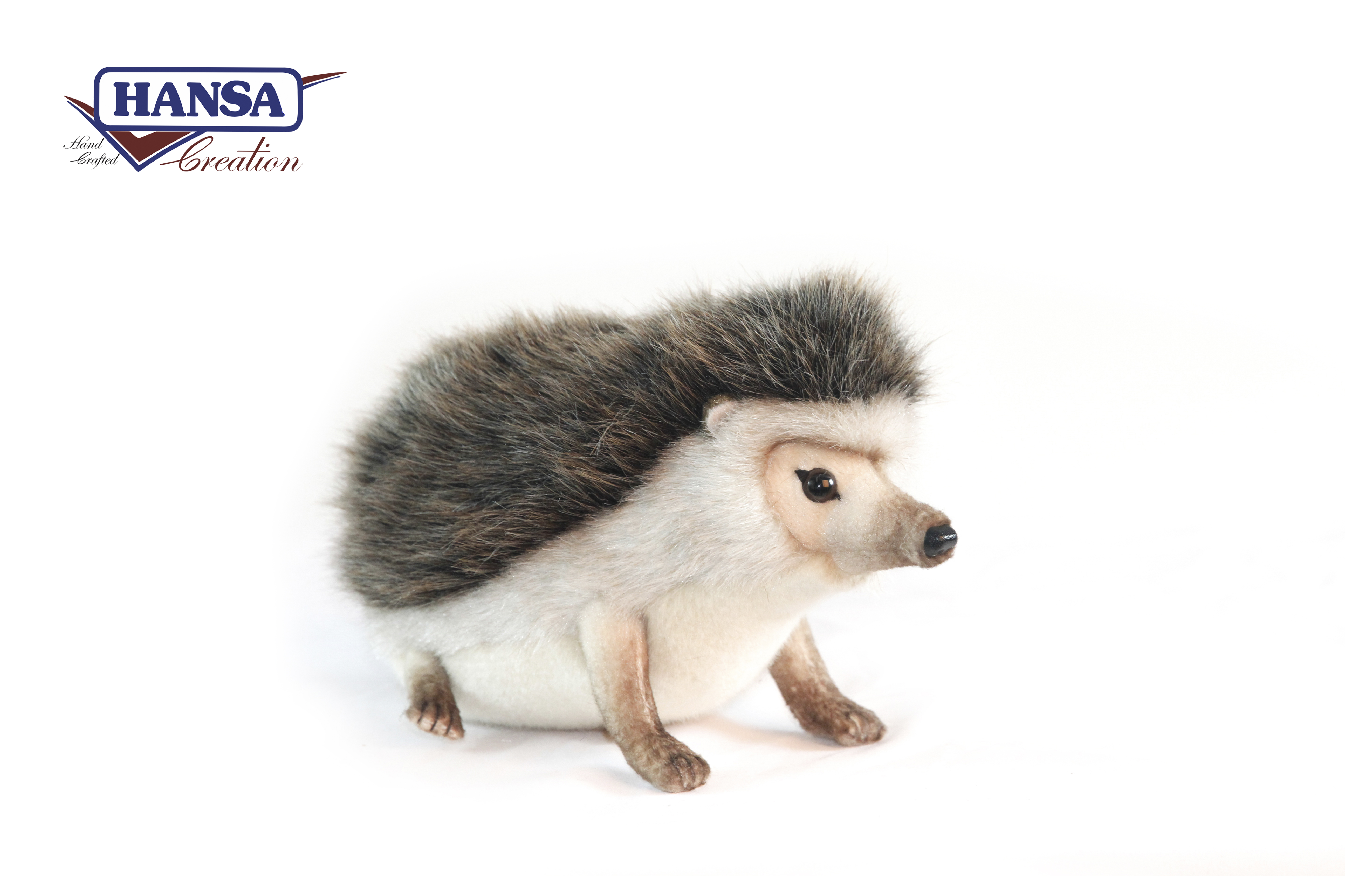 6807 African Pygmy Hedgehog 23 cm.L
