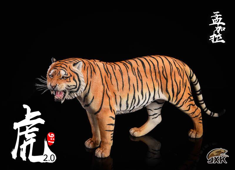 [สั่งจอง]JXK.Studio 1/6 JXK020A yellow Bengal tiger & JXK020B white Bengal tiger