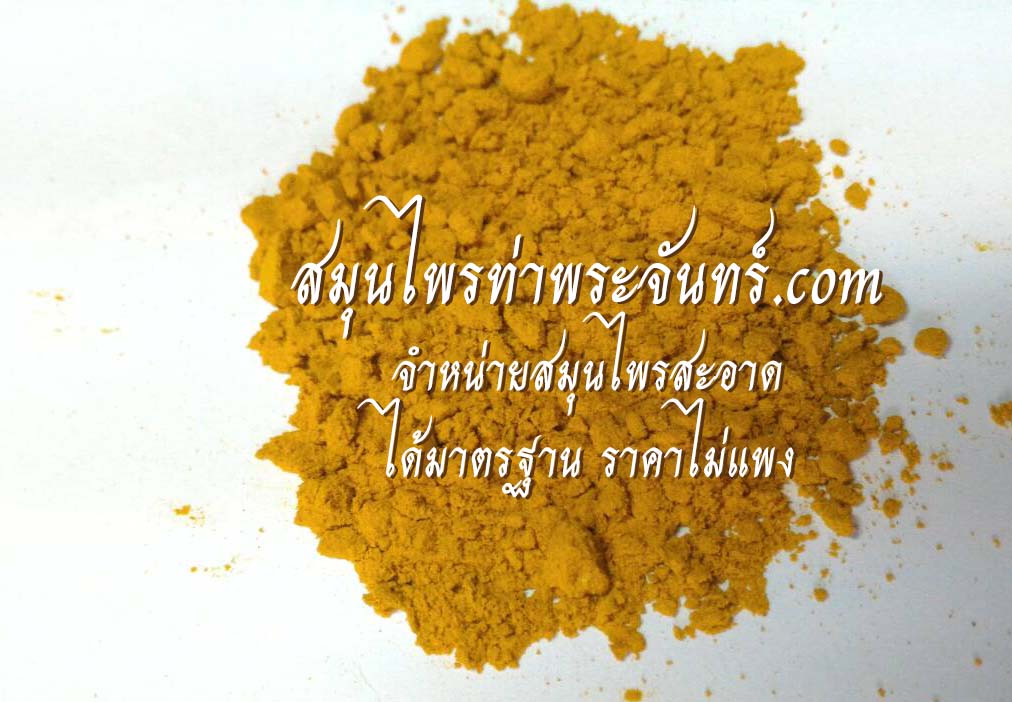 ขมิ้นอ้อยผง ( 500กรัม - 1กิโล ) / ( 500g - 1kg ) สมุนไพรท่าพระจันทร์