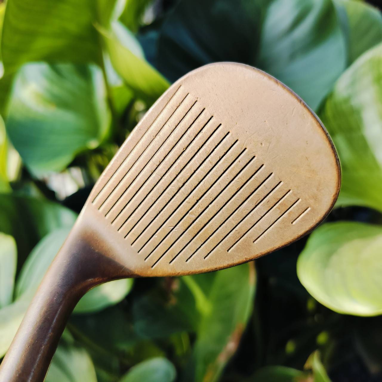 Cleveland Byron Nelson 50Th Becu Beryllium Copper RH Wedge 56° วัสดุทองแดงระดับพรีเมี่ยมสุดๆๆ หายากมากๆ ถ้าขัดขึ้นมาสวยจัดๆ ก้าน WEDGE FLEX ไม้กอล์ฟพรีเมี่ยมมือสอง ของแท้ By NakaraLuxurious
