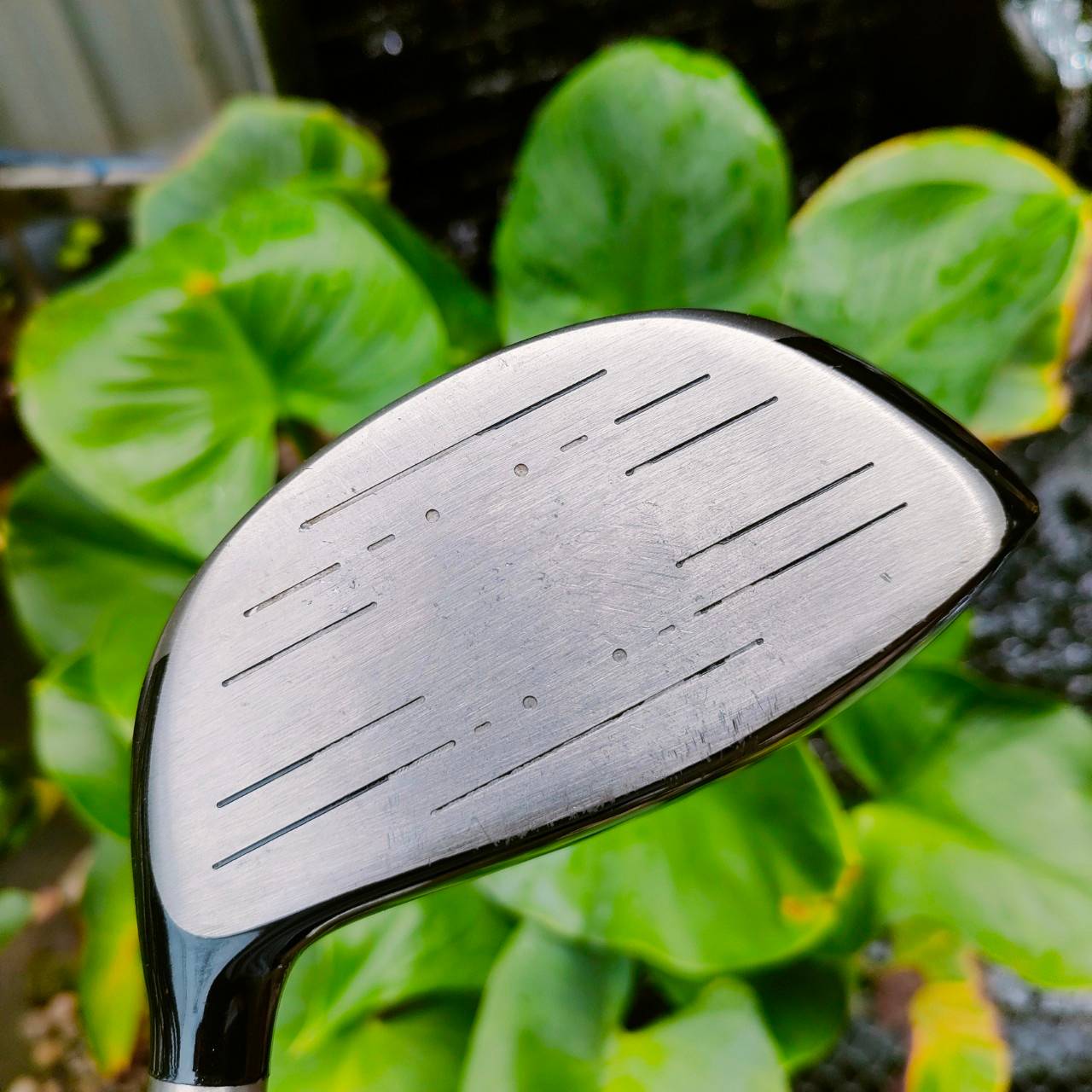 Driver KZG องศา 9 ก้าน GRAPHITE DESIGND YS-5 TYPE II FLEX R กริพ IOMIC ไม้กอล์ฟพรีเมี่ยมมือสอง ของแท้ By NakaraLuxurious