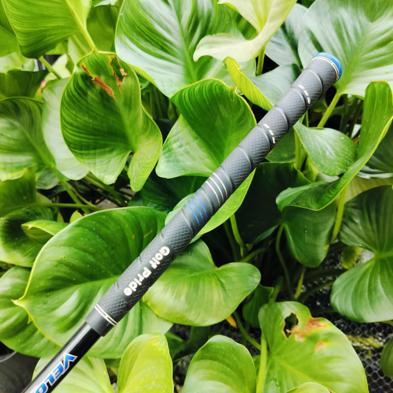 เหล็ก 6 Taylormade SPEEDBLADE ก้าน VEROX T FLEX R ก้านดีมาก กริพเปลี่ยน GOLF PRIDE อย่างดี ไม้กอล์ฟพรีเมี่ยมมือสอง ของแท้ By NakaraLuxurious