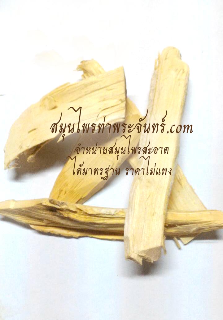 ทานาคาแห้ง ( 500กรัม - 1กิโล ) / ( 500g - 1kg ) สมุนไพรท่าพระจันทร์