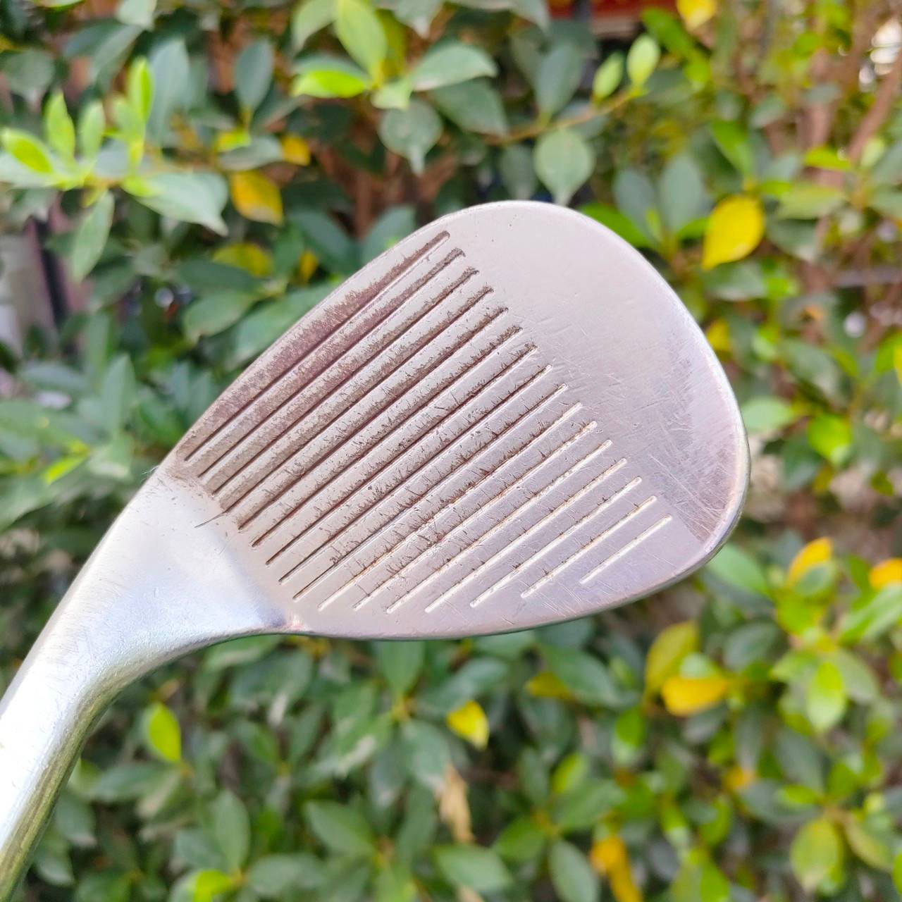 WEDGE CLEVELAND REG 588 องศา 60 ก้าน TRUE TEMPER FLEX WEDGE รุ่นยอดนิยม
