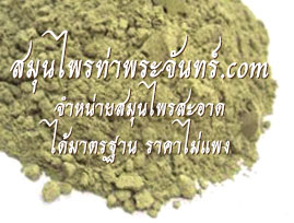 ใบรางจืดผง ( 500กรัม - 1กิโล ) / ( 500g - 1kg ) สมุนไพรท่าพระจันทร์