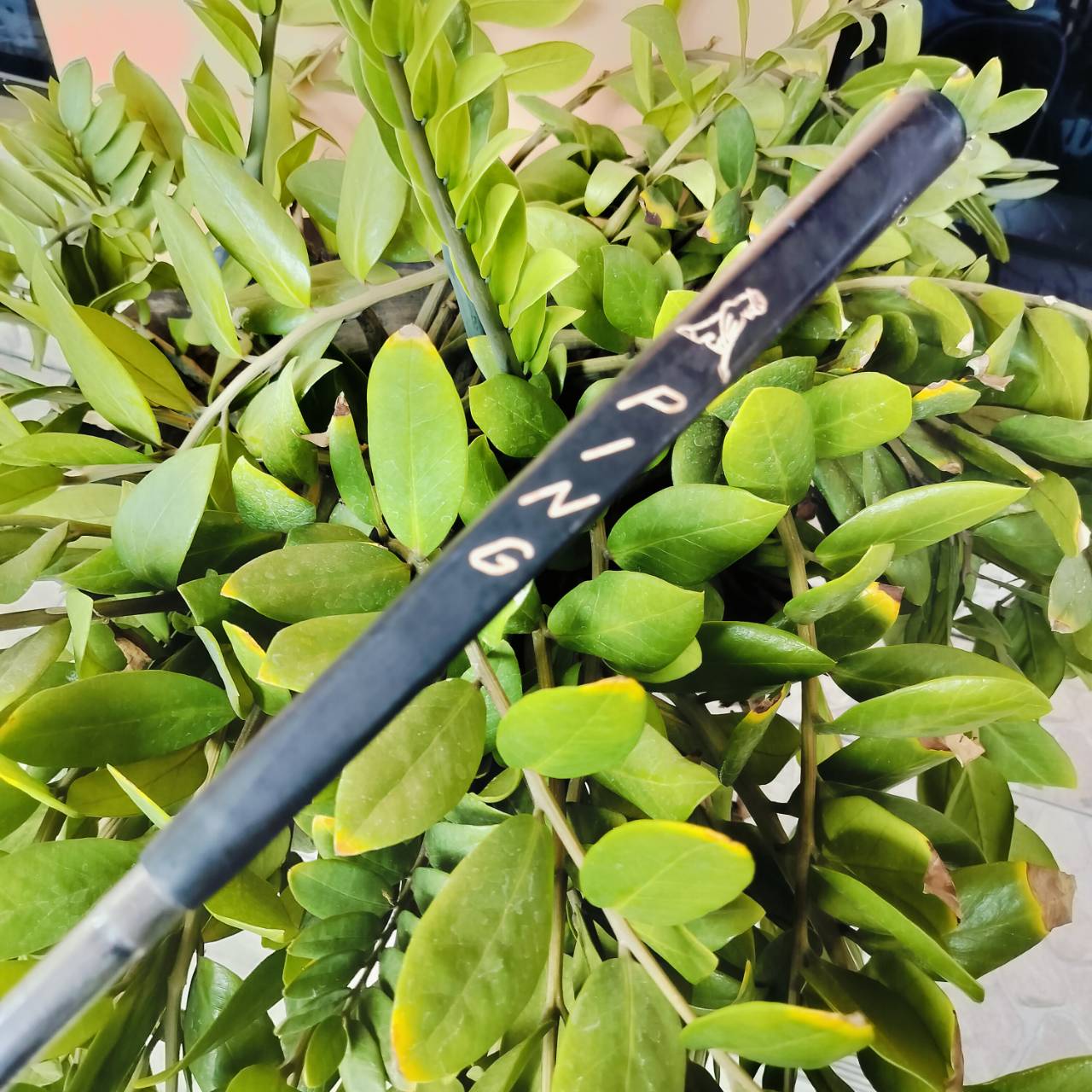 PUTTER PING PAL 4 ยาว 35 นิ้ว พัตเตอร์สุดคลาสสิค พัตต์ได้นิ่งมาก น้ำหนักดี ออกแบบให้สโตรคได้ง่าย ไม้กอล์ฟพรีเมี่ยมมือสอง ของแท้ By NakaraLuxurious