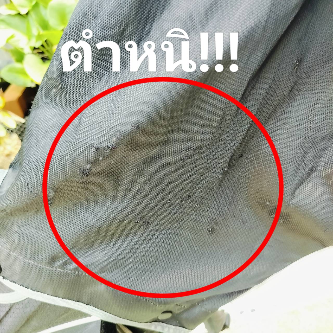 *** มีตำหนิ ถุงกอล์ฟ IGNIO ขาตั้ง มีรอยขาดที่ COVER มีรูปให้ชม สภาพโดยรวม ใช้ได้ดีค่ะ