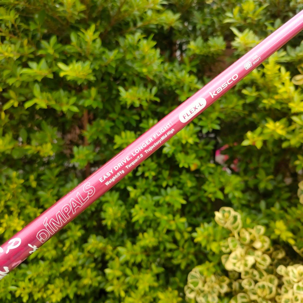 *ไม้กอล์ฟสำหรับผู้หญิง* DRIVER KASCO DIMPALS EL องศา 12 ก้าน DIMPALS FLEX L ** มาพร้อม COVER ตรงรุ่น ** สุดยอด Driver พรีเมี่ยมญี่ปุ่น!! ไม้กอล์ฟมือสอง ของแท้ BY NakaraLuxurious