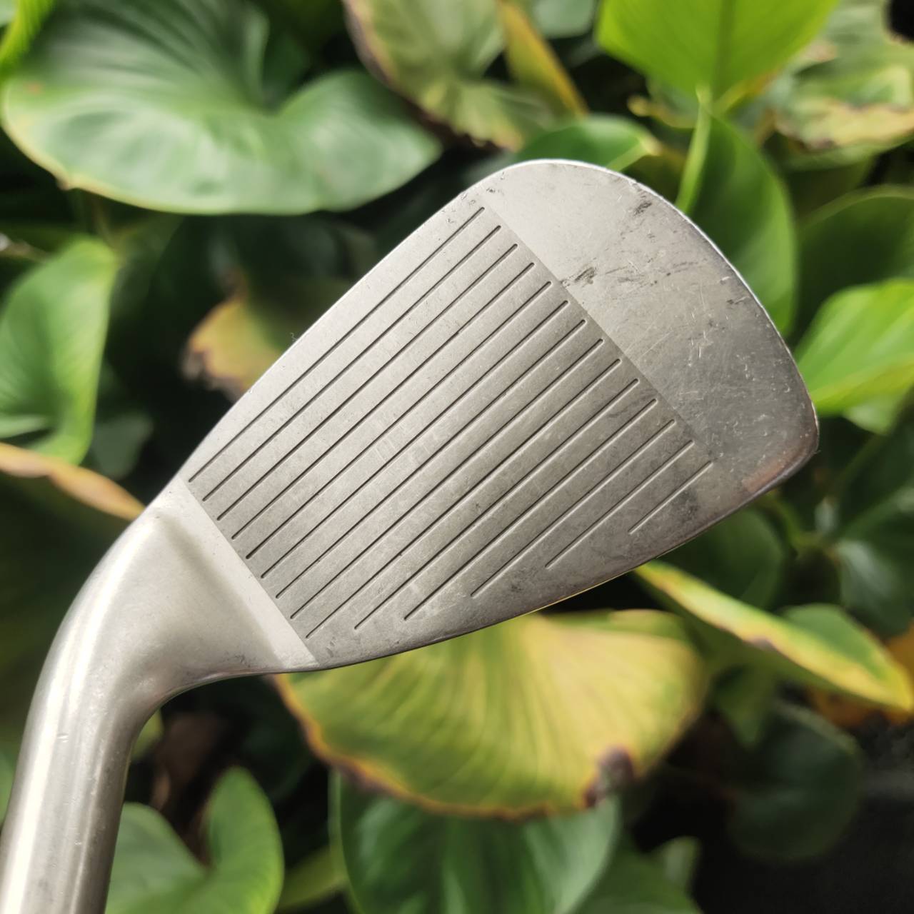 ชุดเหล็ก Maruman Majesty King Cavity ระดับ SUPER PREMIUM ของแบรนด์ ราคาของใหม่แพงมากๆ