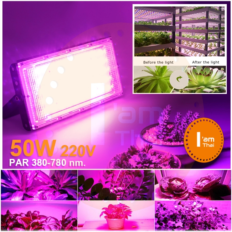 ไฟปลูกต้นไม้ 50W ไฟ LED Sportlight มีขาตั้ง SMD LED glow Light Full Spectrum PAR 380-780 nm. กันน้ำ กันฝุ่น