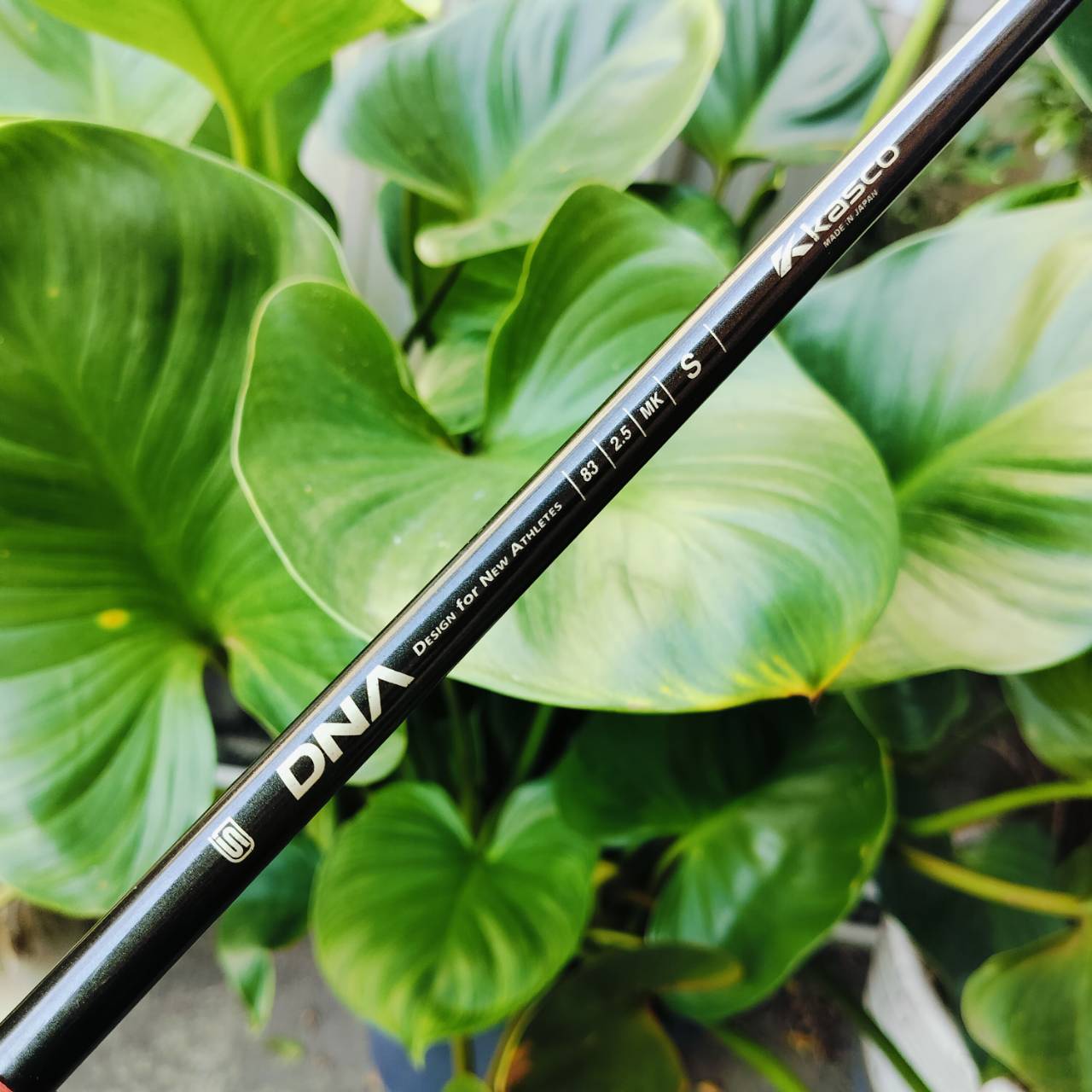ลดราคาพิเศษ!!! ชุดเหล็ก KASCO DNA101 FORGED ก้าน กราไฟต์ FLEX S ก้านเบาแต่แม่นยำ ไม้กอล์ฟพรีเมี่ยมมือสอง ของแท้ By NakaraLuxurious