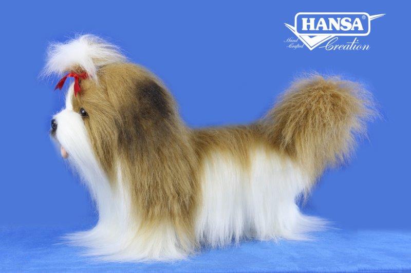 8390 Shih Tzu Beige White 34cm.L