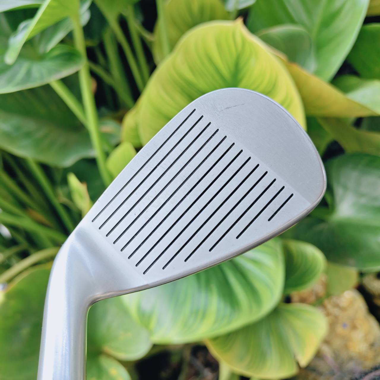 HONMA BERES MG701 – ความพรีเมียมที่มาพร้อมความง่ายในการเล่น 🇯🇵✨ MADE IN JAPAN SAKATA