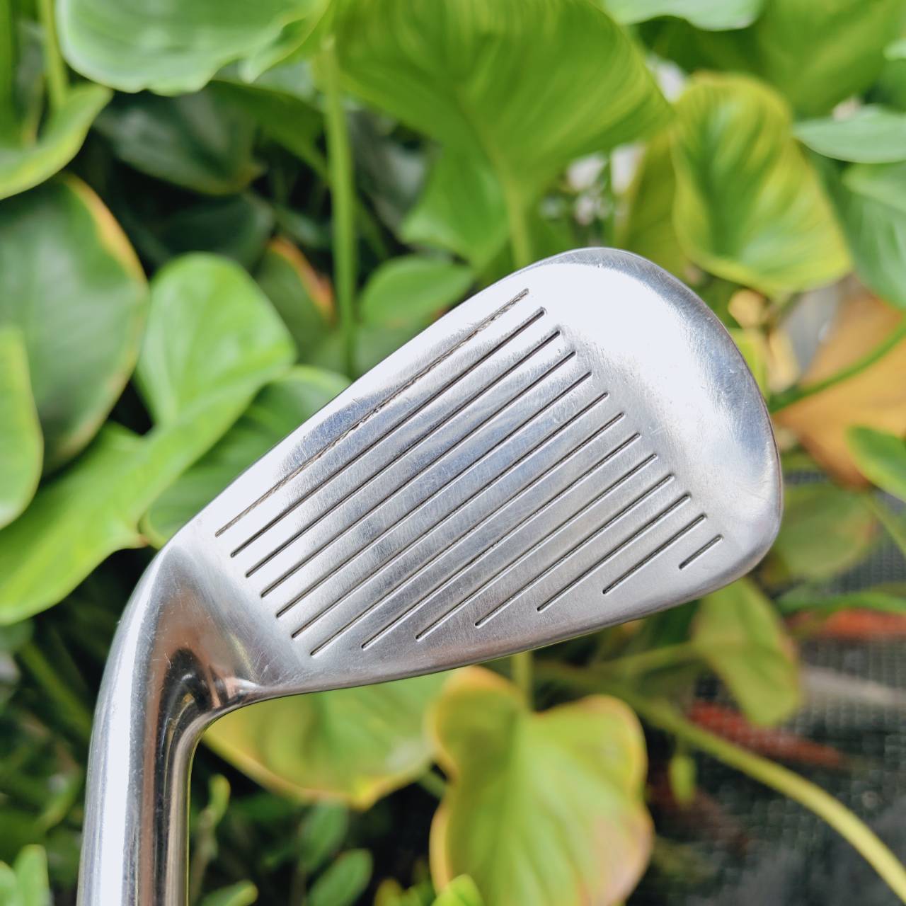 ชุดเหล็ก ADAMS IDEA a7 – ตีง่าย ควบคุมดี เหมาะกับทุกระดับ!