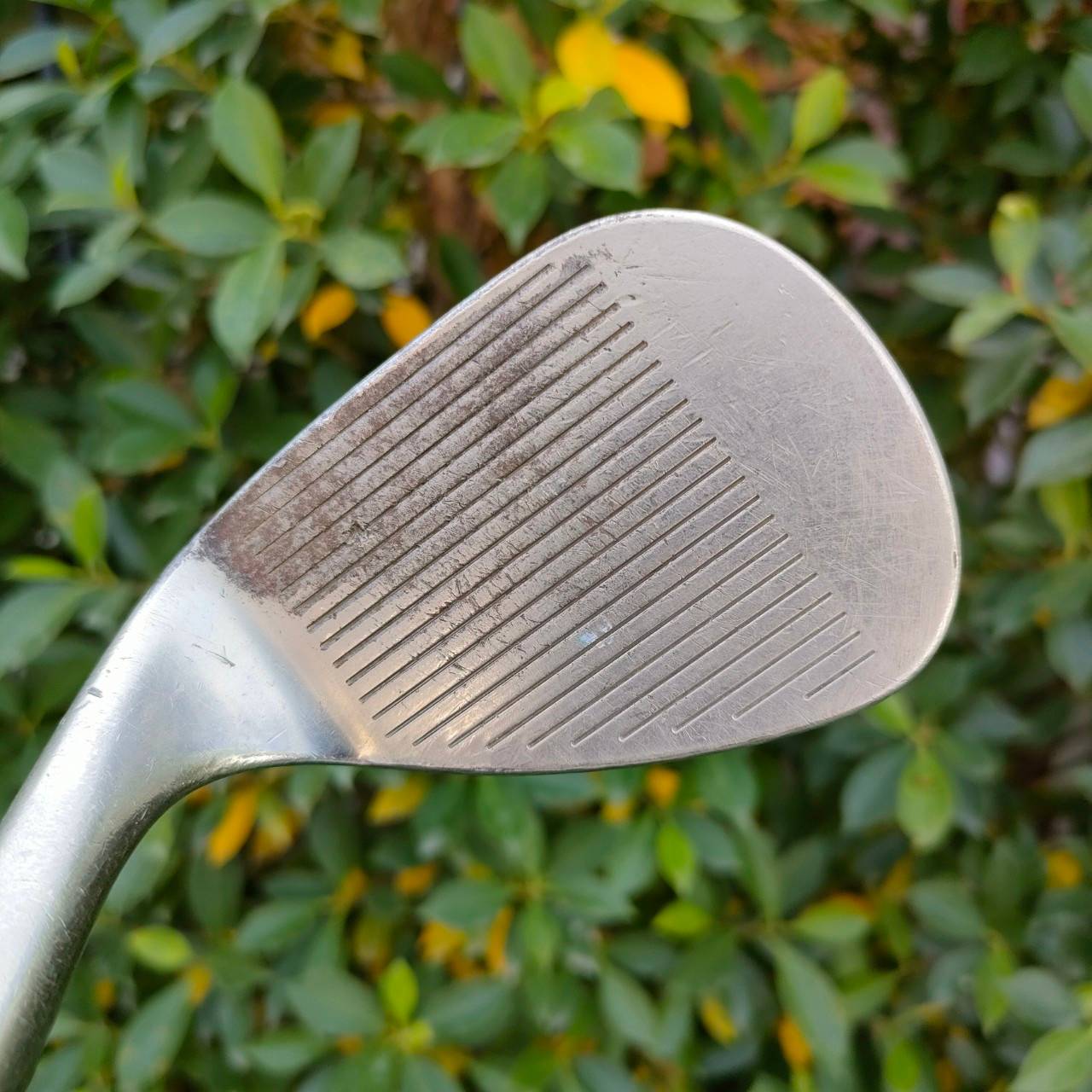 WEDGE CALLAWAY V FORGED องศา 56 BOUNCE 11 FLEX WEDGE