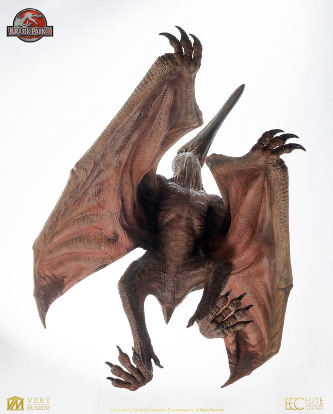 [สั่งจอง]ECC : Pteranodon Prop Replica (Jurassic Park III)