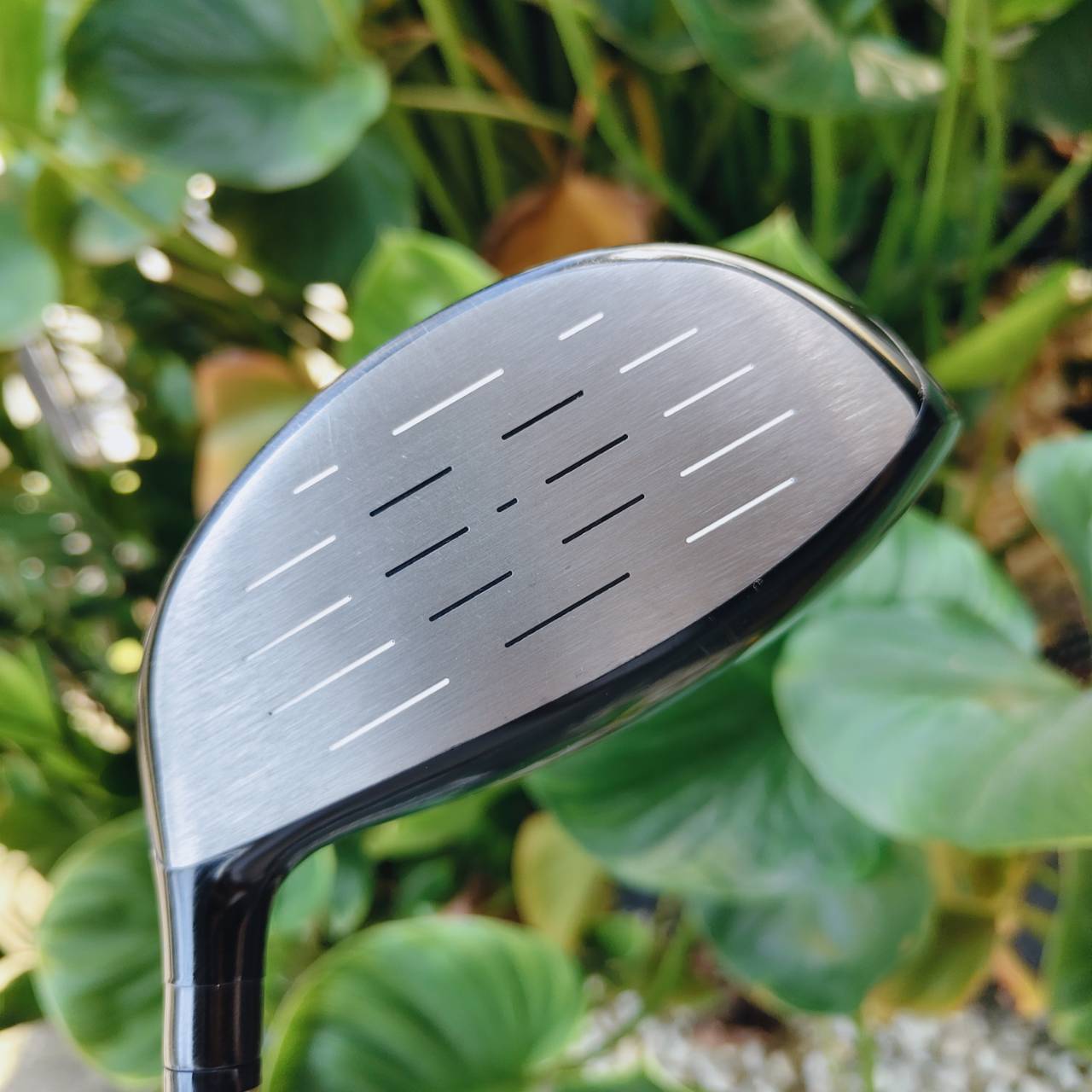 Driver ROMARO RAY TYPE R – HIGH C.O.R. 455LX ⛳ หน้าเด้งเกินกฏ หายากมาก ของแรงจากญี่ปุ่น พุ่งทุกสวิง!