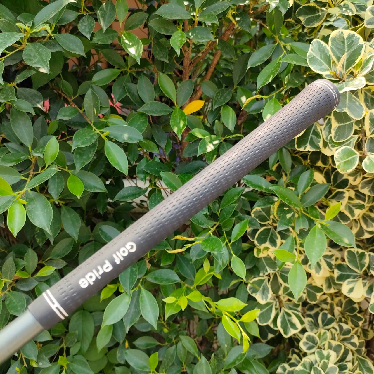 FW3 PING G10 องศา15.5 ก้าน VISTA 240 TI-FACE ***สีถลอกเยอะทั้งหัว*** ตีดี ตีง่าย ตีไกล