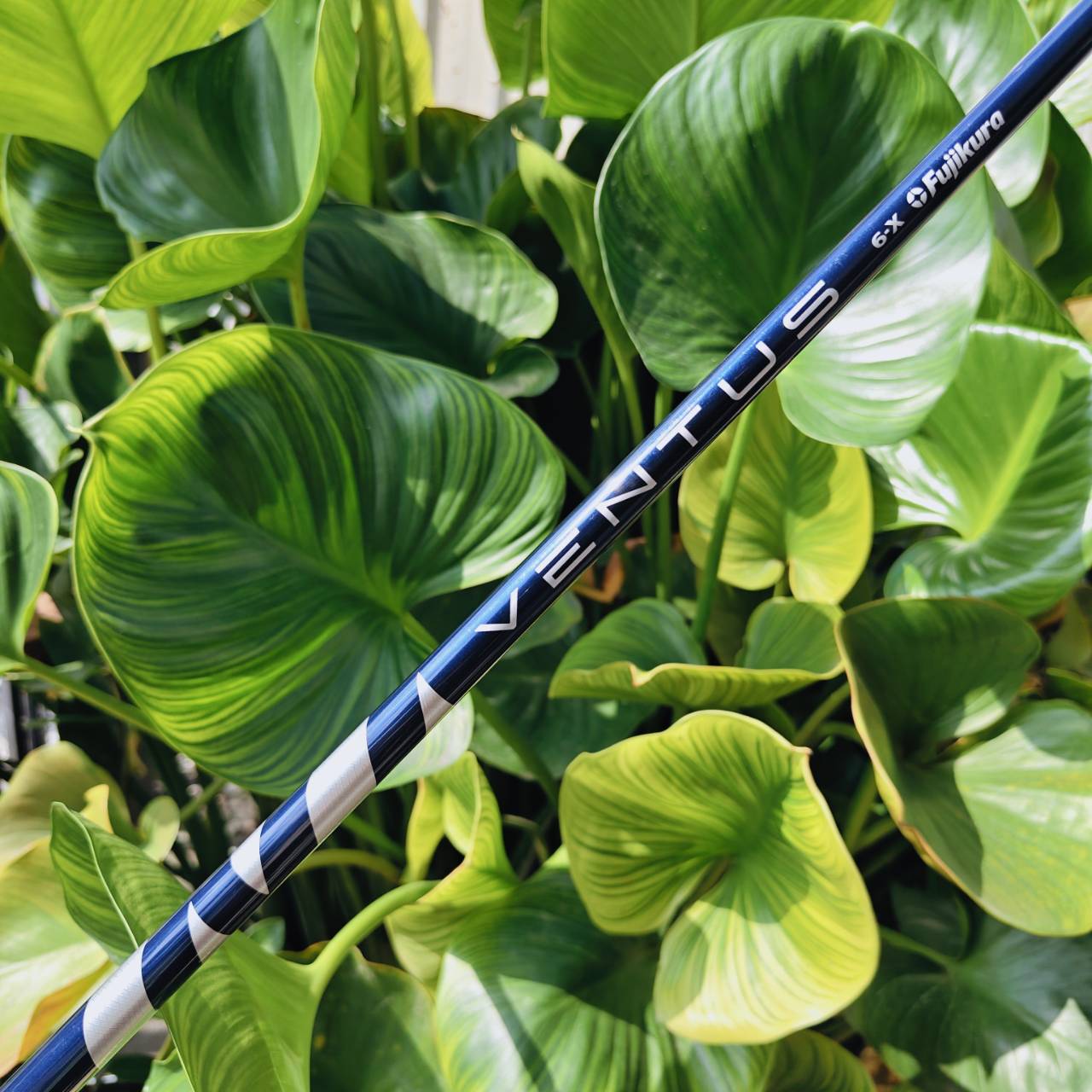 FUJIKURA VENTUS 6X – ก้านระดับทัวร์โปรที่ให้ทั้งพลัง ความแม่น และฟีลลิ่งแน่นสุดยอด!