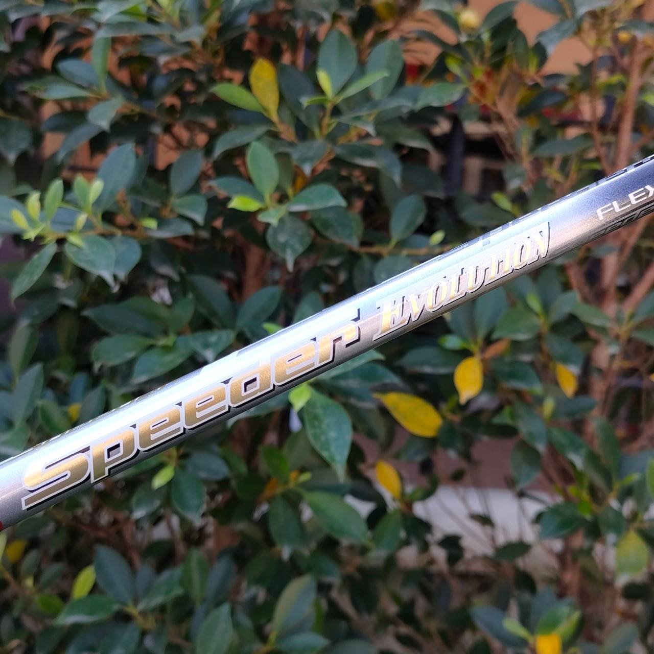 ชุดเหล็ก TAYLORMADE M GLOIRE RIBCOR HT มีเหล็ก 6-9 เเละ PW ก้าน FUJIKURA SPEEDER EVOLUTION FLEX R ทั้งชุด