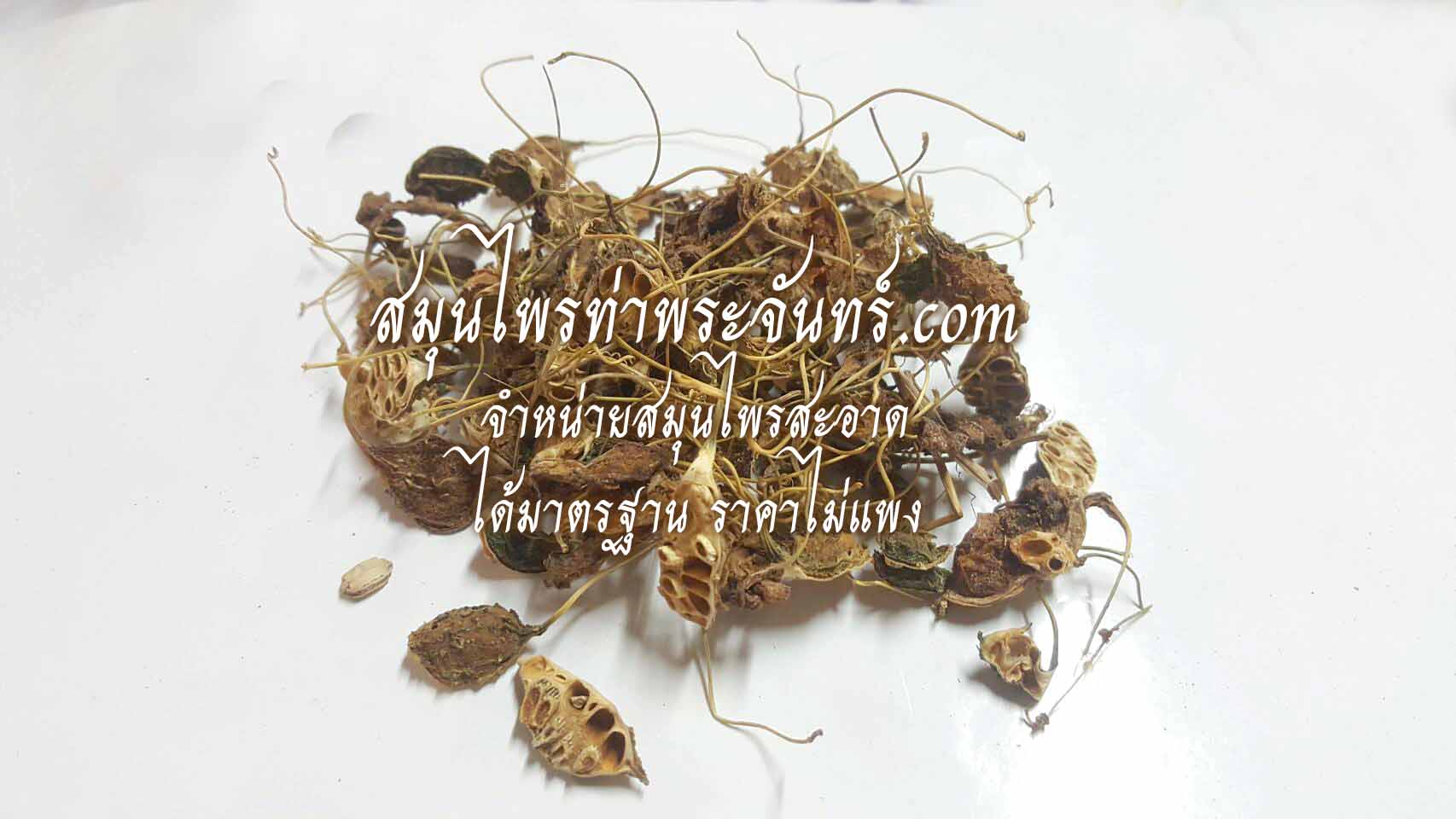 ลูกมะระขี้นกแห้ง