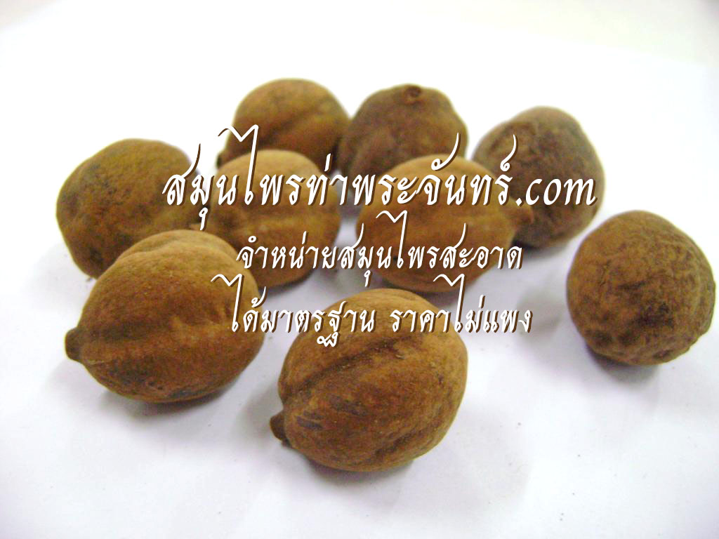 สมอพิเภกแห้ง ( 500กรัม - 1กิโล ) / ( 500g - 1kg ) สมุนไพรท่าพระจันทร์