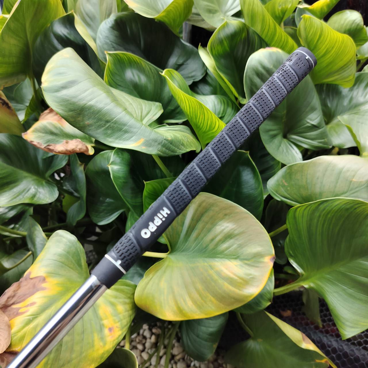 FULLSET HIPPO HIPTEC เป็นรุ่นที่ดีที่สุดของ HIPPO ตีดีมาก ตีง่ายตีไกลค่ะ!!! หัวไม้ได้ถึง 4 หัว ไม้กอล์ฟพรีเมี่ยมมือสอง ของแท้ By NakaraLuxurious