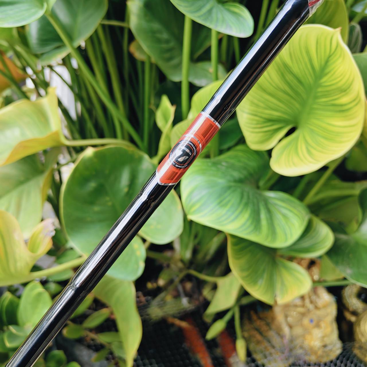 PUTTER TAYLORMADE SPIDER MINI – ของใหม่ล้างสต๊อค!