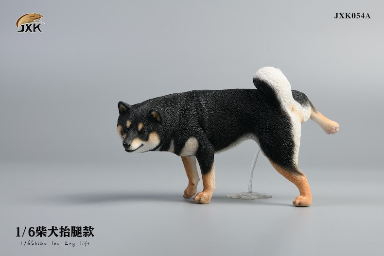 [สั่งจอง]JXK studio 1/6 : Shiba Inu
