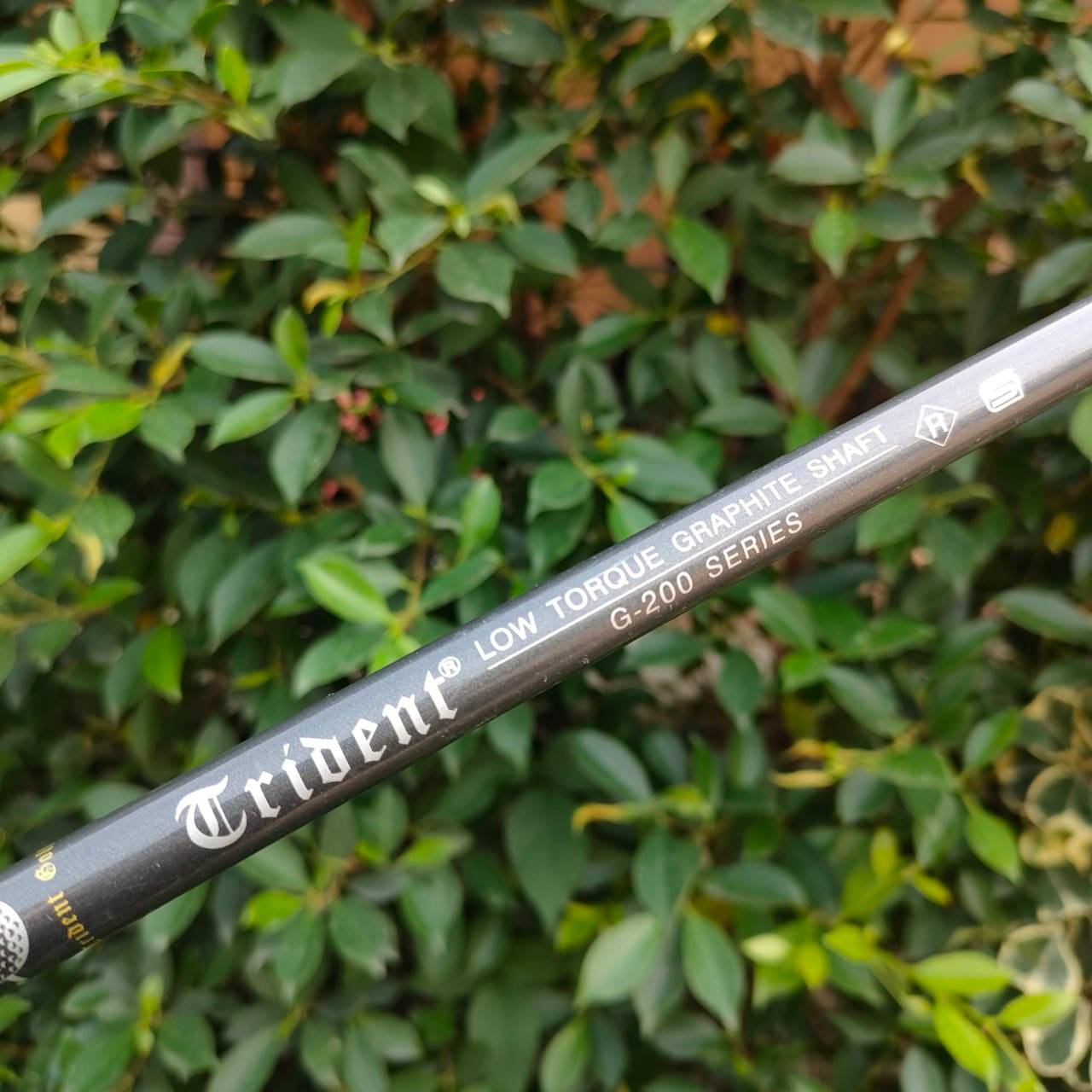DRIVER TRIDENT GOLF WIDE BODY TOUR PROFESSIONAL องศา 11 ก้าน TRIDENT FLEX R