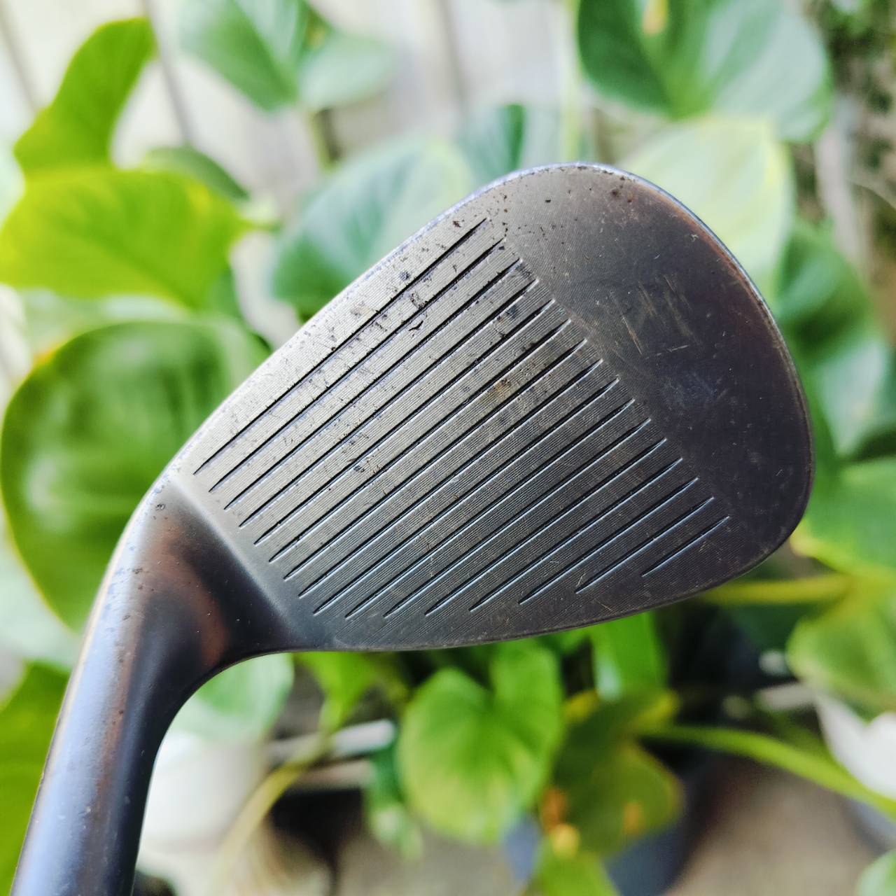 WEDGE TITLEIST SM6 S GRIND องศา 48 BOUNCE 8 F GRIND ฐานด้านล่างเต็ม ตีเต็มวงได้ และเหมาะกับวงสวิงทุกรูปแบบเลยค่ะ ไม้กอล์ฟพรีเมี่ยมมือสอง ของแท้ By NakaraLuxurious