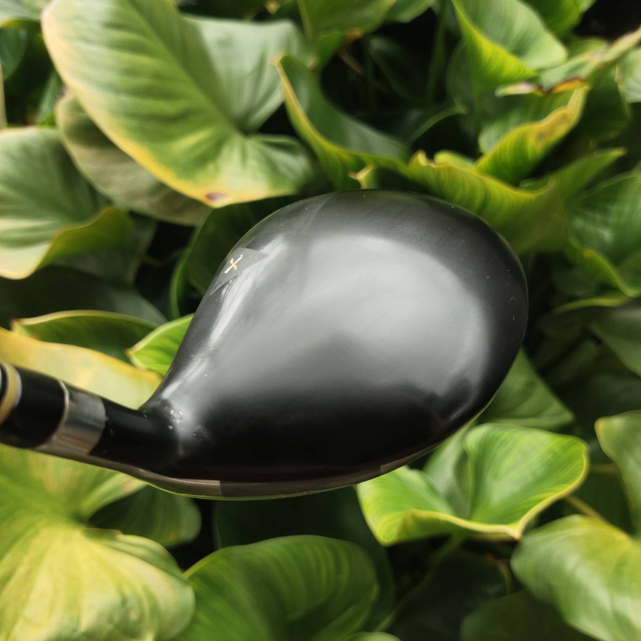 FW3 Autopilot GX7 องศา 14 มากับก้านสุดแพง พรีเมี่ยมขั้นสุด BASSARA TB43 แค่ราคาก้านก็เกินคุ้ม