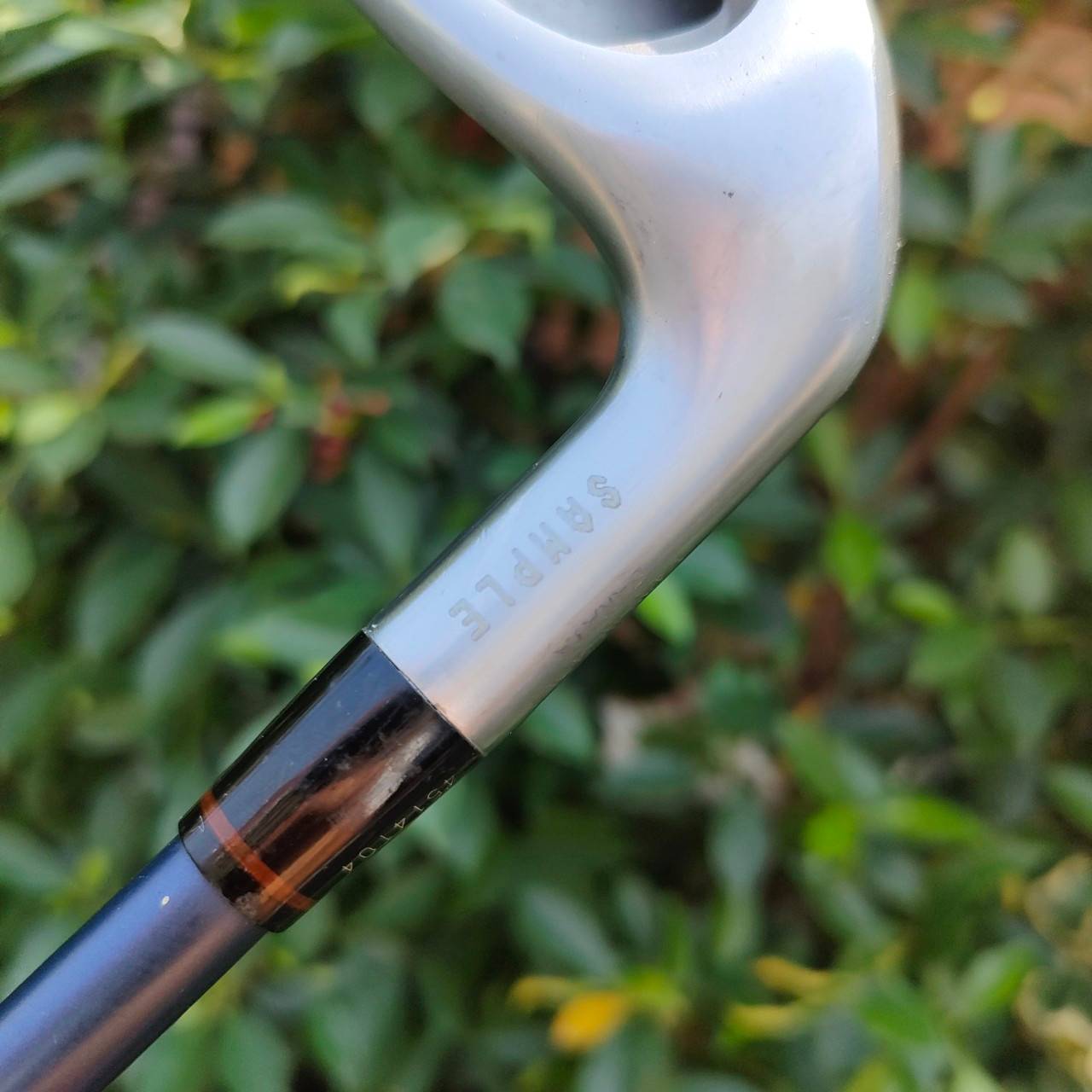 ** ไม้กอล์ฟสำหรับผู้หญิง ** เหล็ก 7 HONMA TWIN MARKS AP-301 MRS ก้าน ACCELERATE FORCE FLEX L