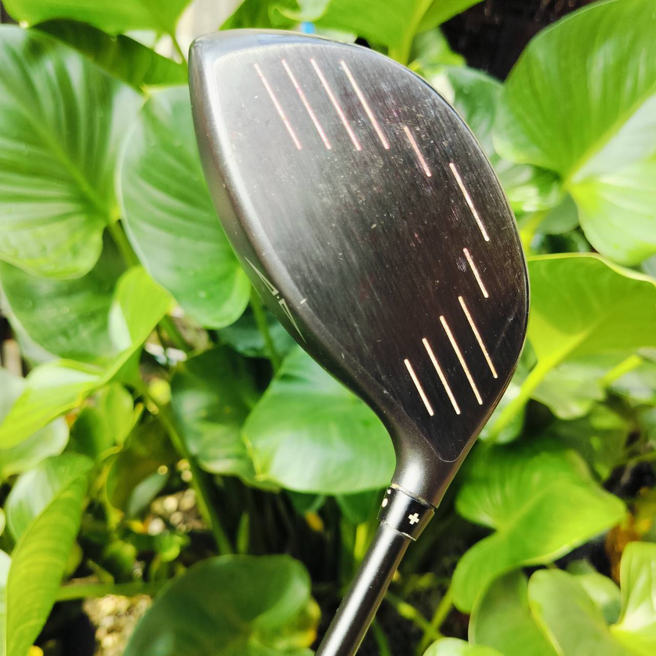 *** ไม้กอล์ฟมือซ้าย *** Driver PING G25 องศา 10.5 FLEX R ก้านเดิม สภาพเดิมเลยค่ะ!!! ไม้กอล์ฟพรีเมี่ยมมือสอง ของแท้ By NakaraLuxurious