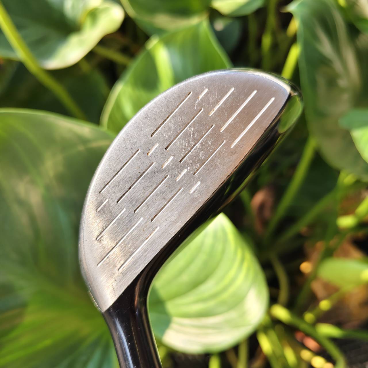 9W WILSON STAFF DYNA POWER องศา 24° | ก้าน FLEX R ตีง่ายกว่าไฮบริดและเหล็กยาวมาก!