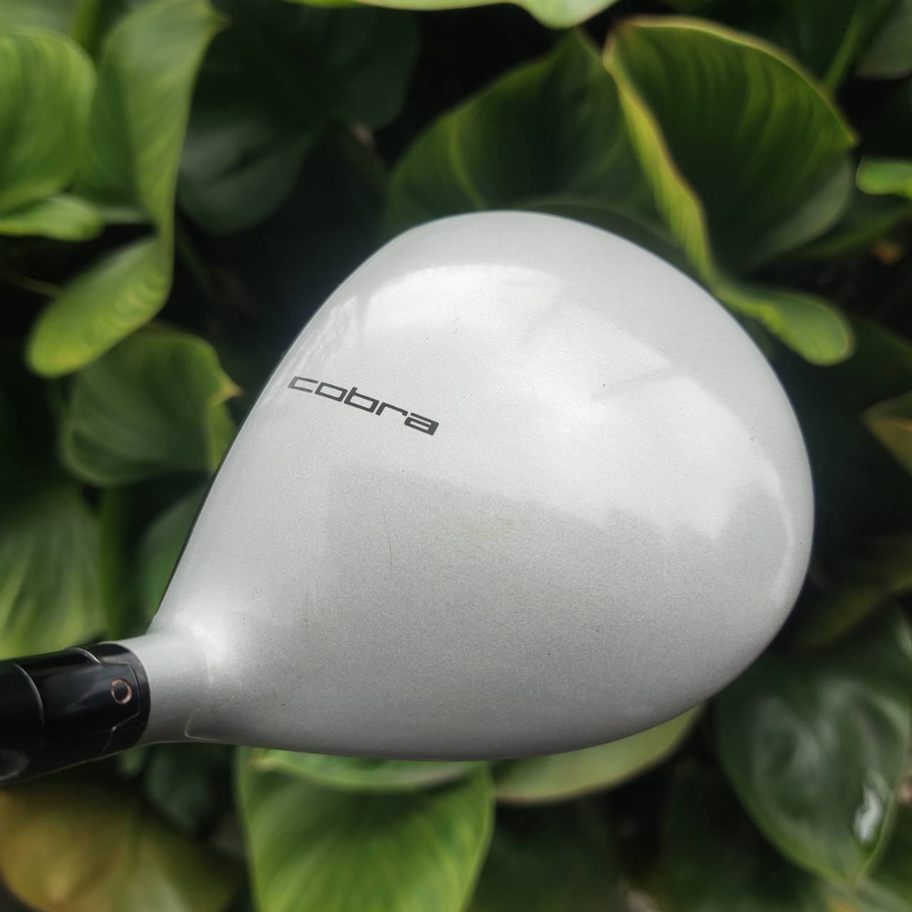 3-Wood COBRA AMP Dual Roll Face ช่วยให้ลูกพุ่งตรง ตีง่ายทุกมุมหน้าไม้