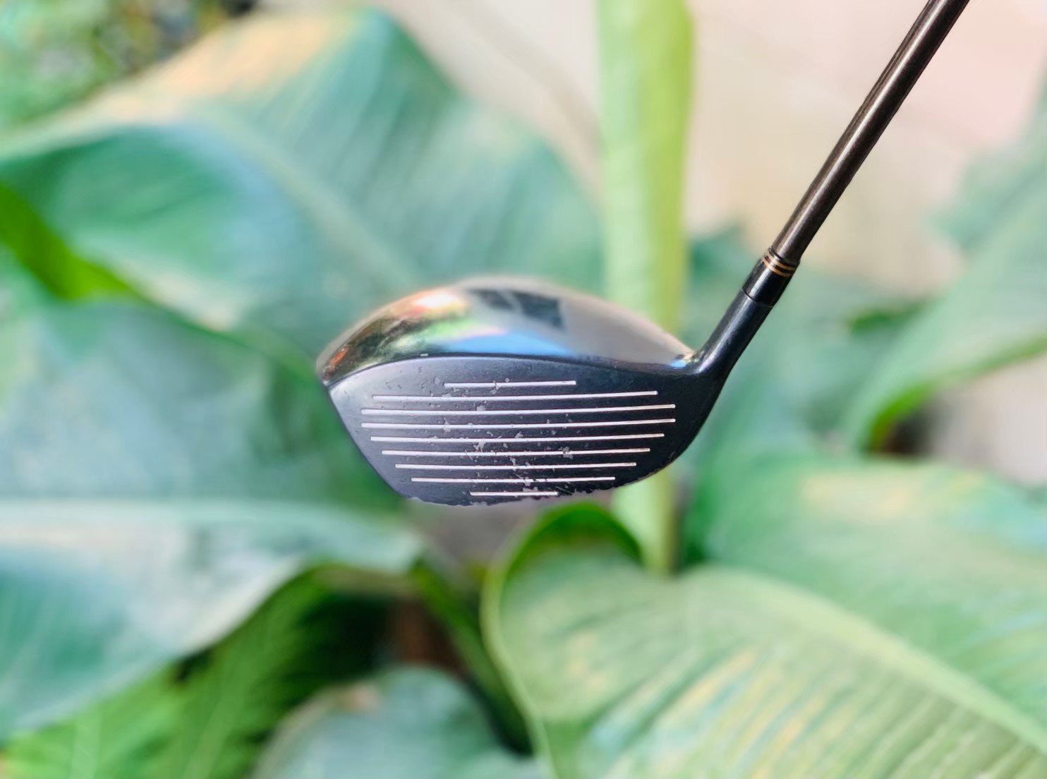 DRIVER BRIDGESTONE 300 FOGED TITANIUM