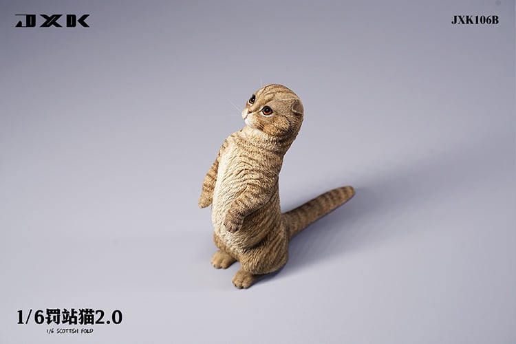 [สั่งจอง]JXK : Scottish Fold/Chckling/Duckling