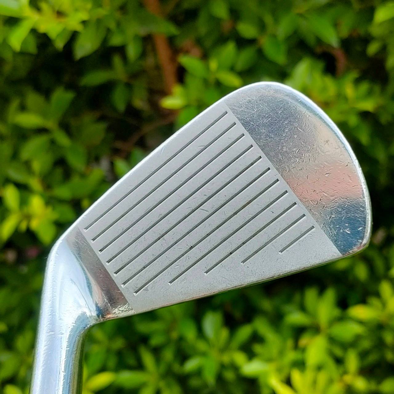 ชุดเหล็ก Miura Giken MG Special Edition MB-5002 FORGED เหล็ก 3-9 เเละ PW ก้าน DYNAMIC GOLD SL R300 ไม้กอล์ฟมือสอง ของแท้ BY NakaraLuxurious